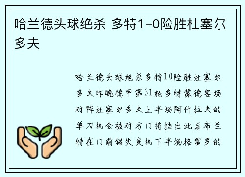 哈兰德头球绝杀 多特1-0险胜杜塞尔多夫